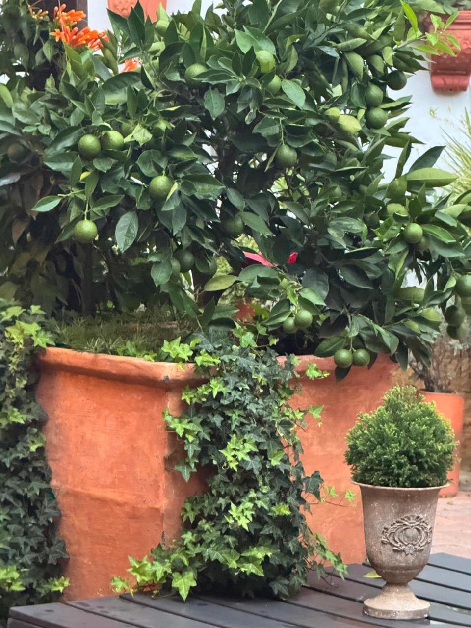 Santa Lucia Casa Hotel Villa de Leyva Εξωτερικό φωτογραφία